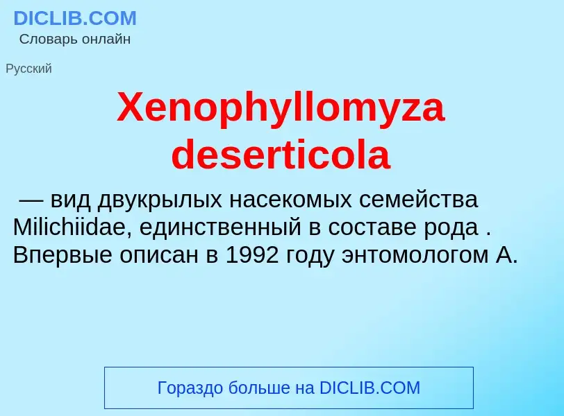 Τι είναι Xenophyllomyza deserticola - ορισμός