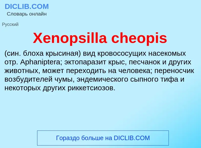 Τι είναι Xenopsilla cheopis  - ορισμός