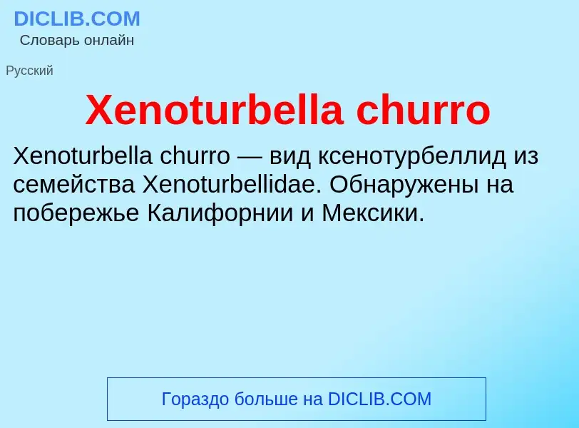 Τι είναι Xenoturbella churro - ορισμός