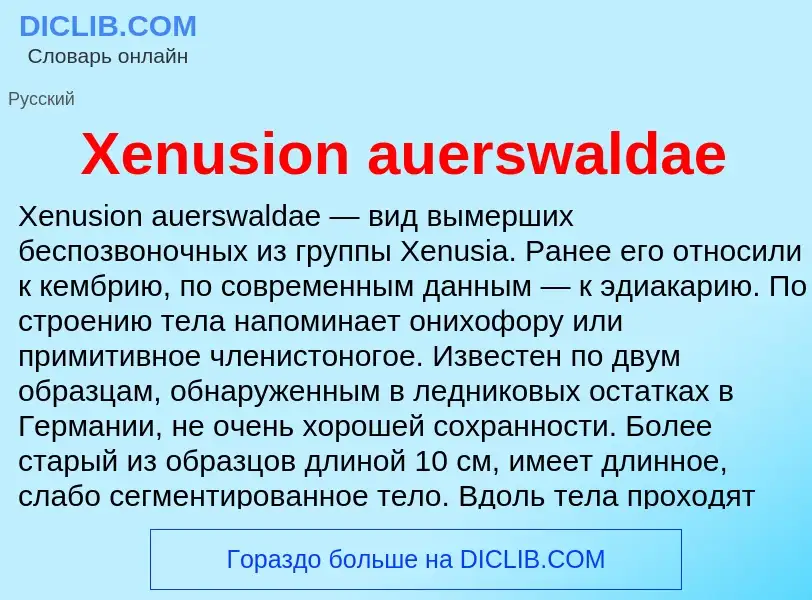 Τι είναι Xenusion auerswaldae - ορισμός