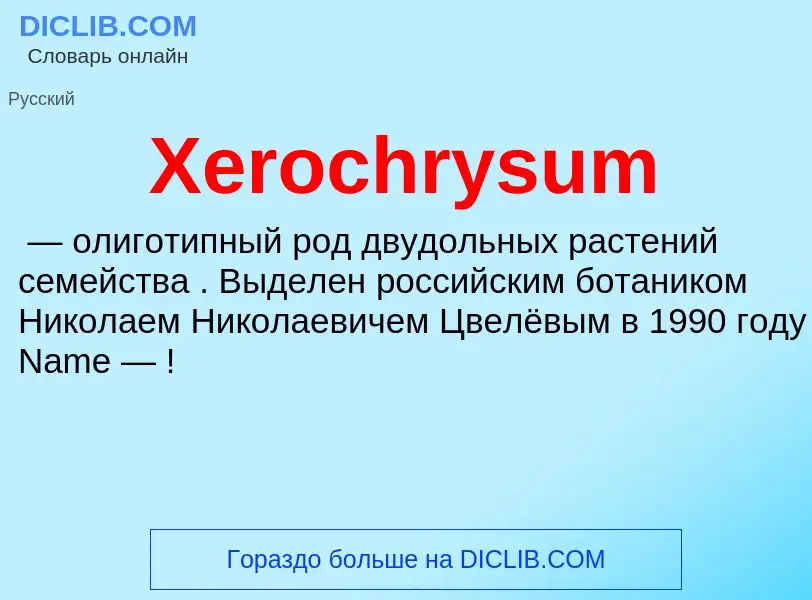 Was ist Xerochrysum - Definition