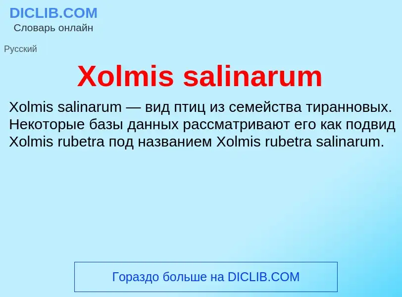 Что такое Xolmis salinarum - определение