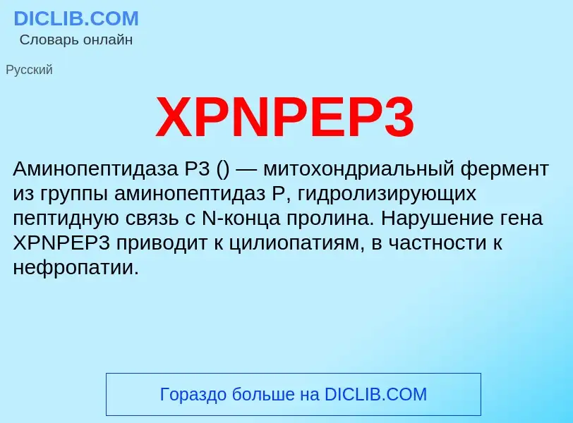 What is XPNPEP3 - meaning and definition