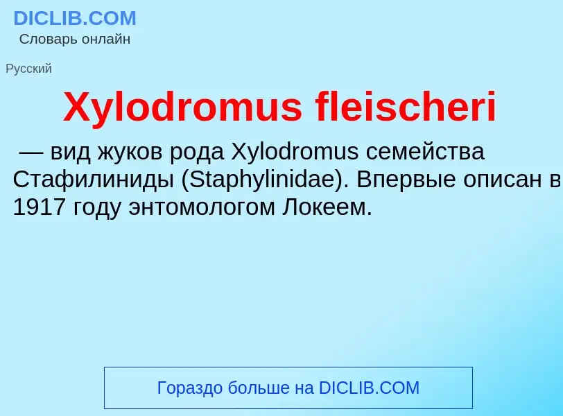 Τι είναι Xylodromus fleischeri - ορισμός