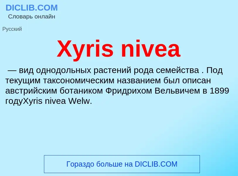 Что такое Xyris nivea - определение