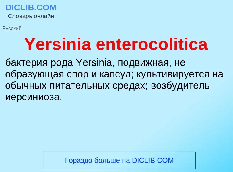 What is Yersinia enterocolitica - meaning and definition