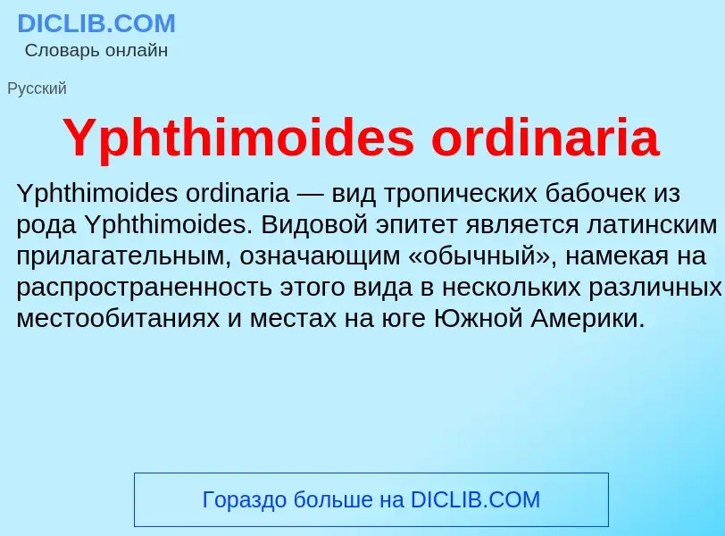 Что такое Yphthimoides ordinaria - определение