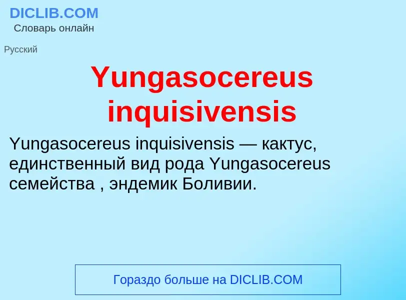 Che cos'è Yungasocereus inquisivensis - definizione