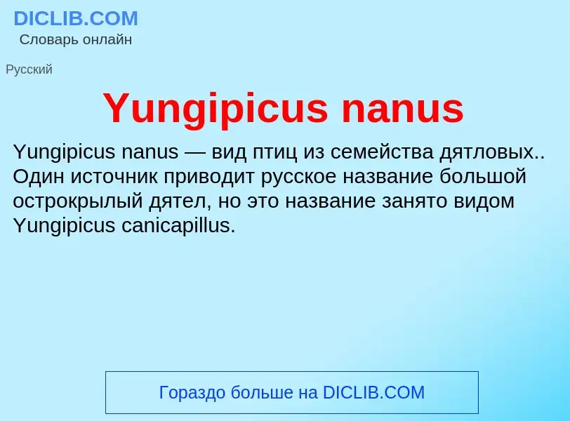 Che cos'è Yungipicus nanus - definizione