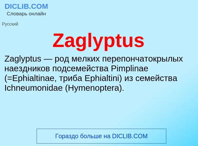 Что такое Zaglyptus - определение