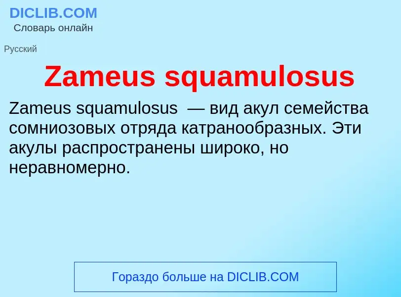 ¿Qué es Zameus squamulosus? - significado y definición