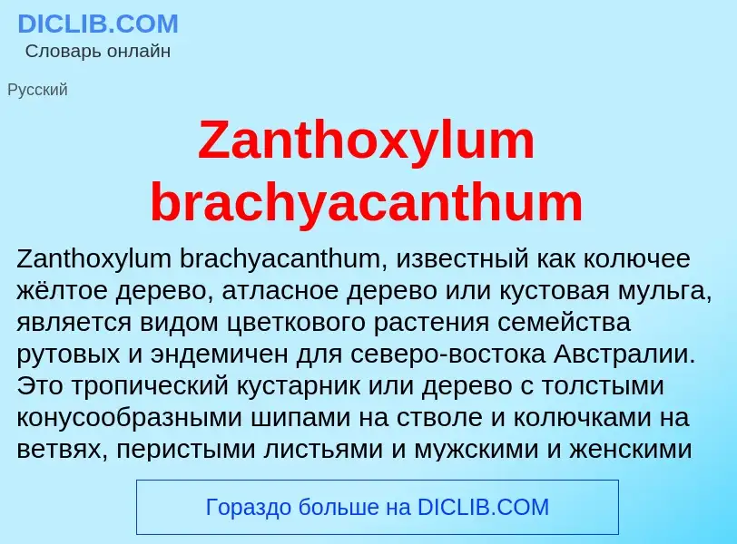 Τι είναι Zanthoxylum brachyacanthum - ορισμός