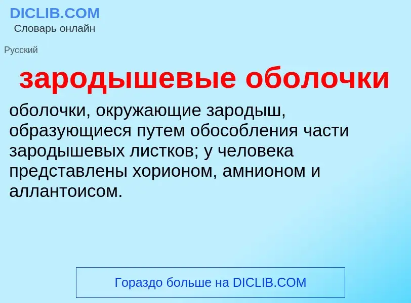 Что такое зародышевые оболочки - определение