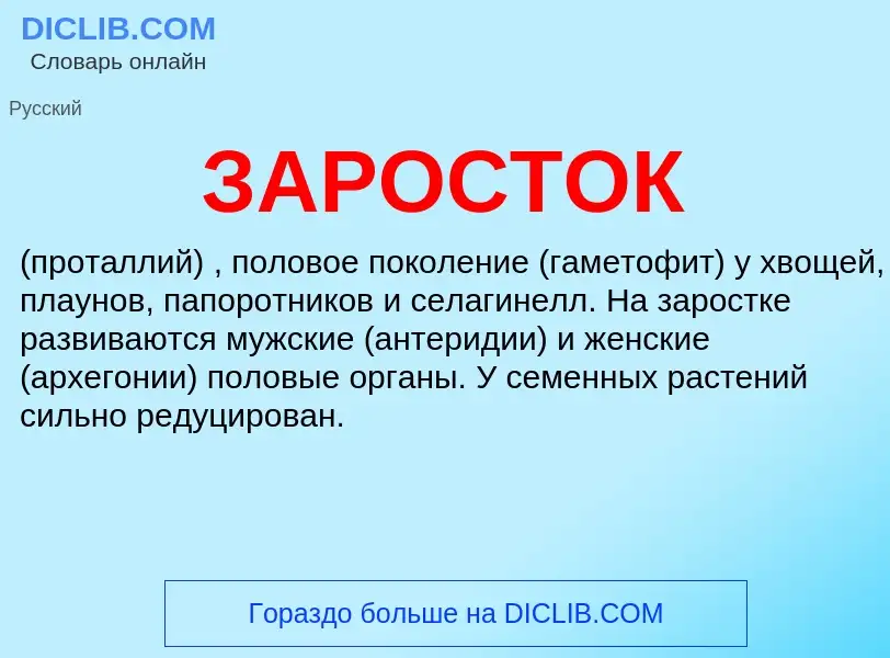 O que é ЗАРОСТОК - definição, significado, conceito