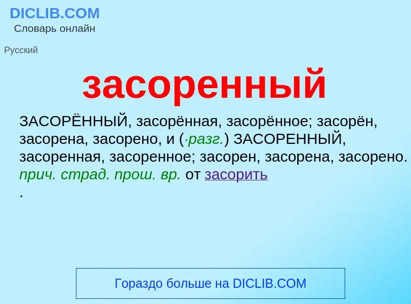 ¿Qué es засоренный? - significado y definición