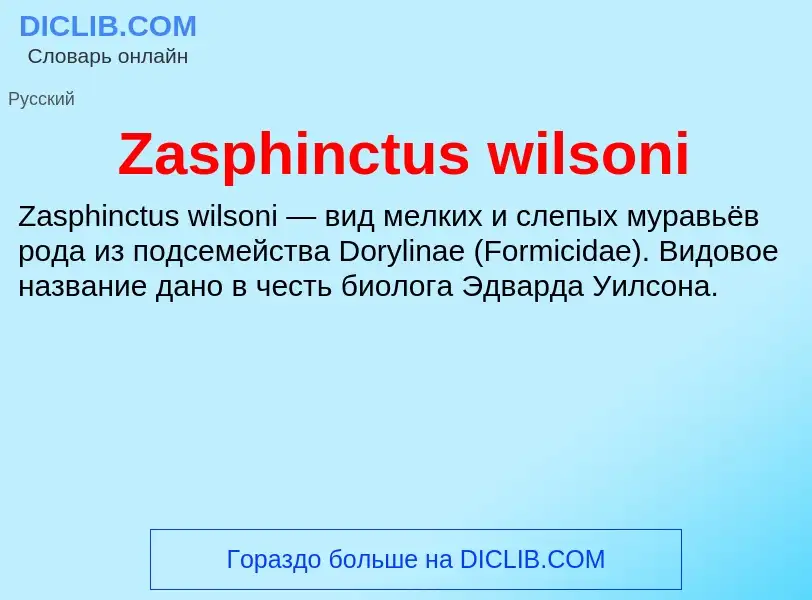 ¿Qué es Zasphinctus wilsoni? - significado y definición