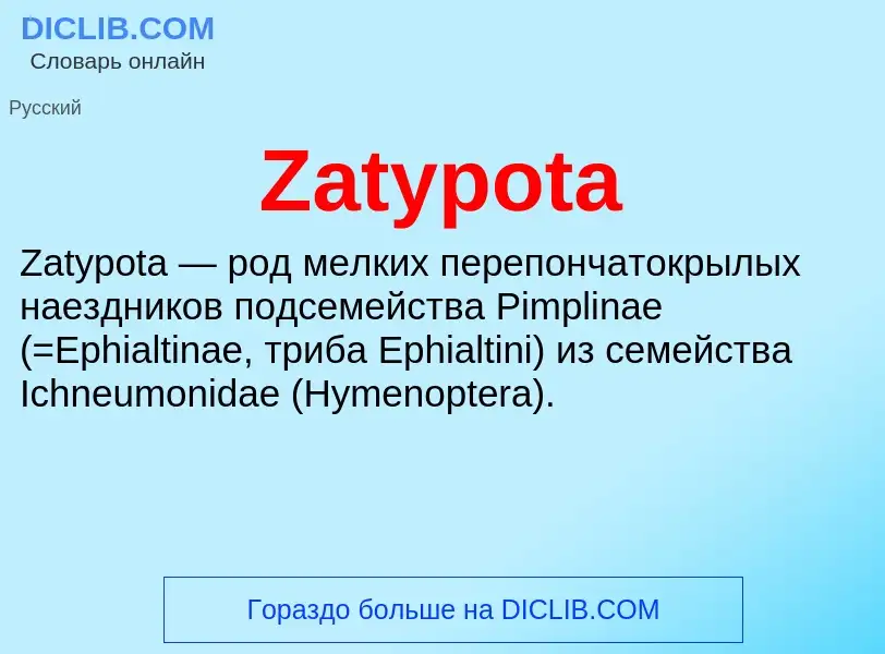 ¿Qué es Zatypota? - significado y definición