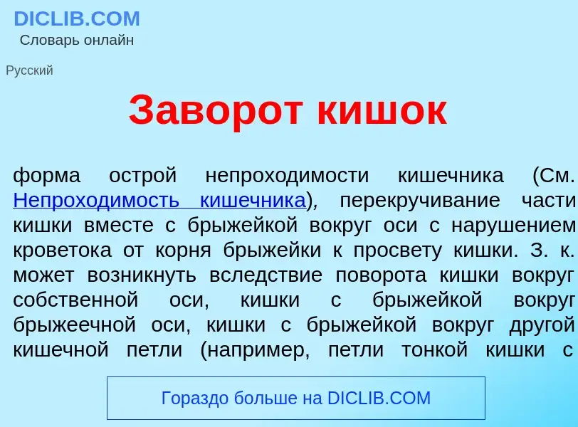 Что такое З<font color="red">а</font>ворот киш<font color="red">о</font>к - определение