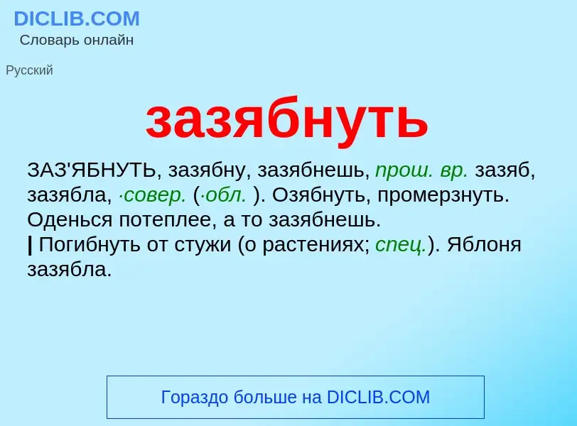 Что такое зазябнуть - определение