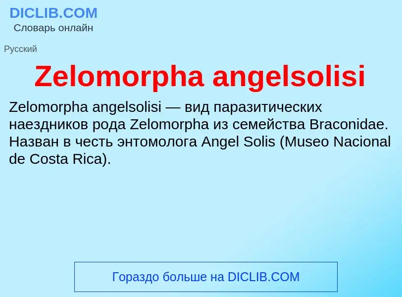 Что такое Zelomorpha angelsolisi - определение