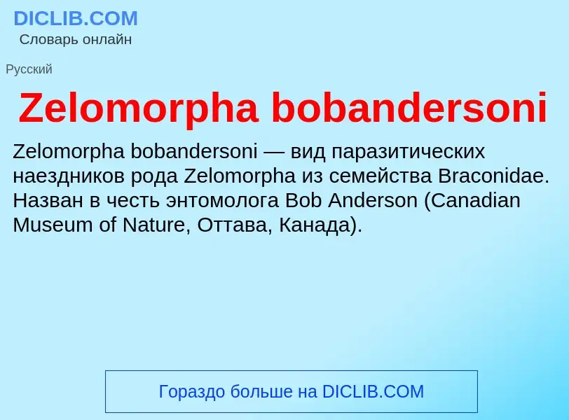 ¿Qué es Zelomorpha bobandersoni? - significado y definición