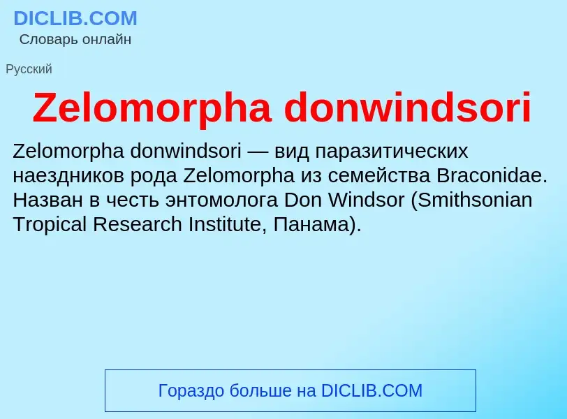 Что такое Zelomorpha donwindsori - определение