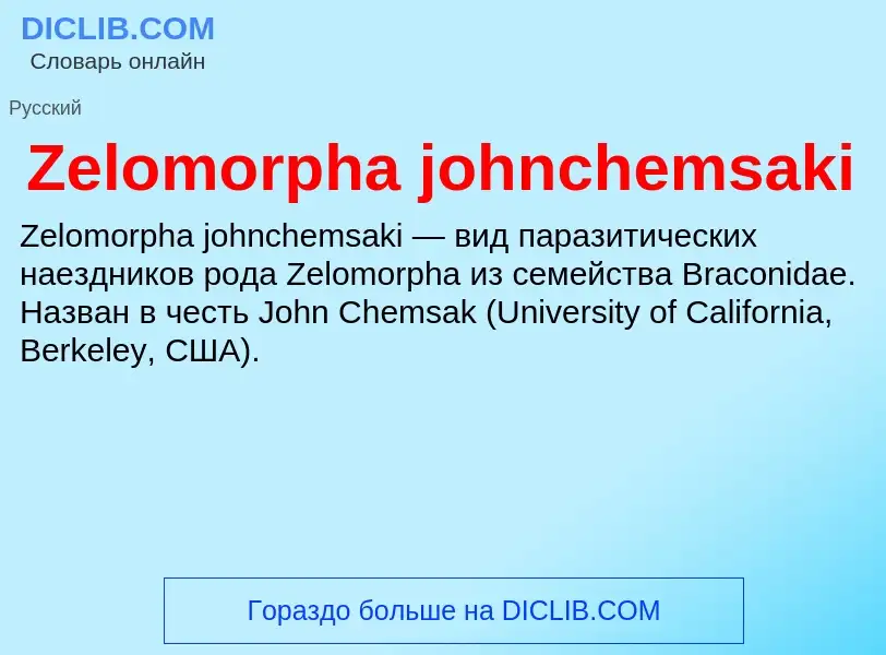 Was ist Zelomorpha johnchemsaki - Definition