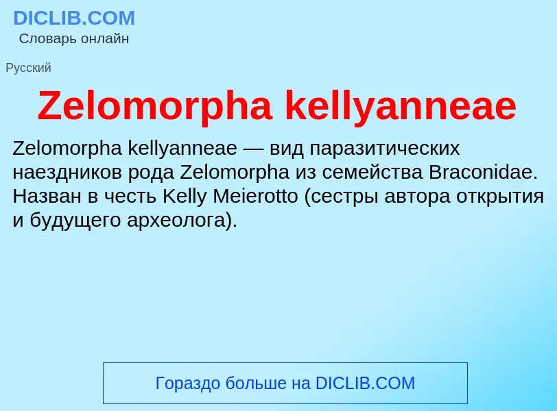 Was ist Zelomorpha kellyanneae - Definition