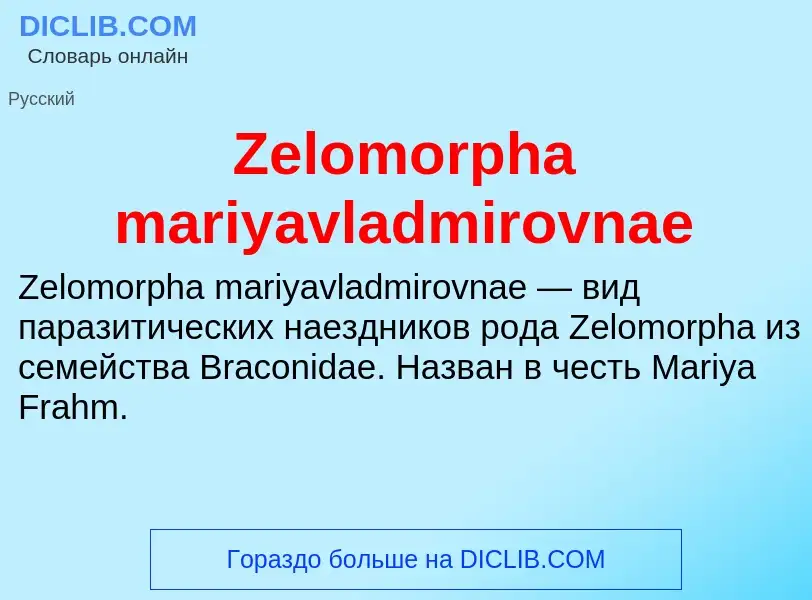 Что такое Zelomorpha mariyavladmirovnae - определение