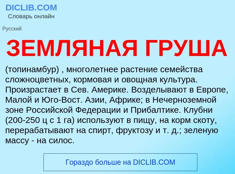 What is ЗЕМЛЯНАЯ ГРУША - definition