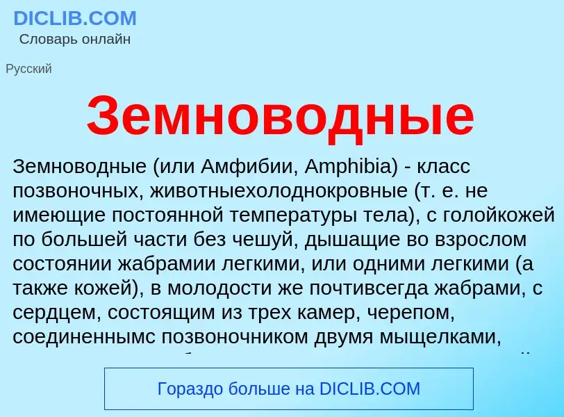 Что такое Земноводные - определение