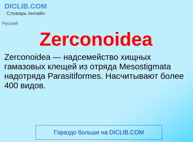 Что такое Zerconoidea - определение