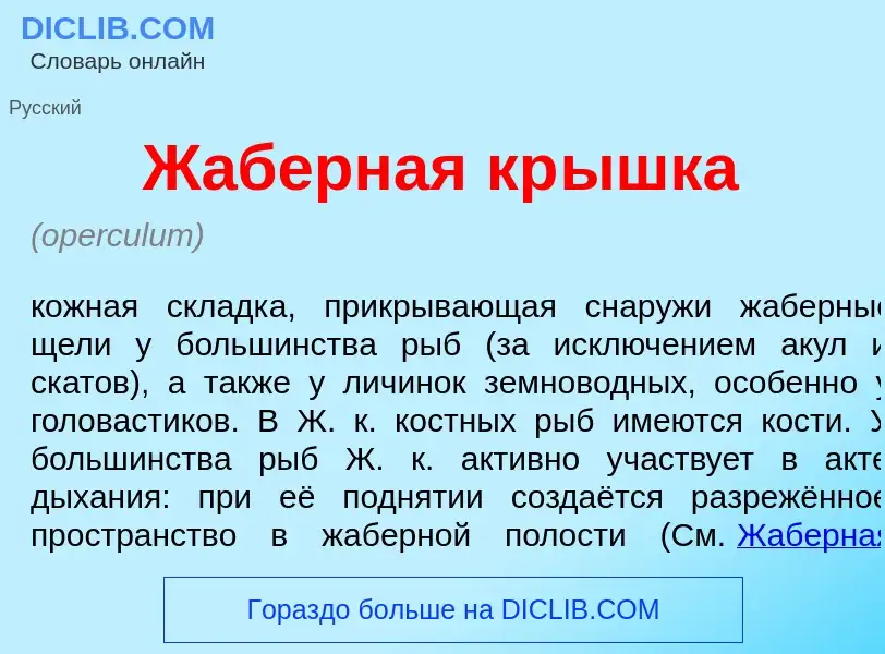 What is Ж<font color="red">а</font>берная кр<font color="red">ы</font>шка - meaning and definition