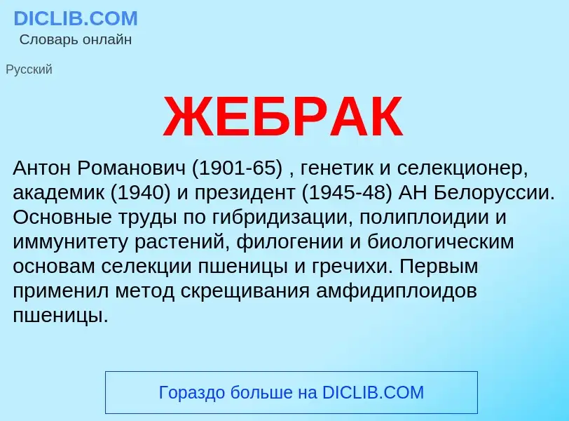 What is ЖЕБРАК - meaning and definition