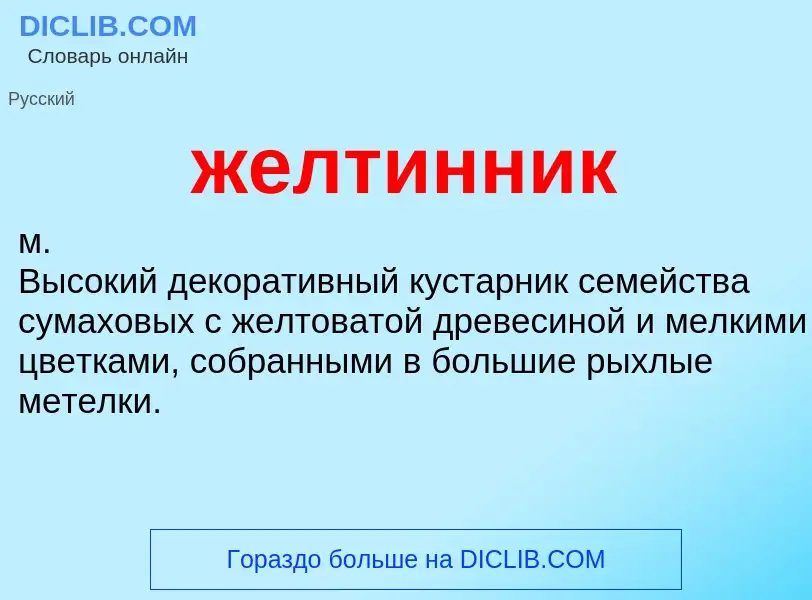 What is желтинник - definition