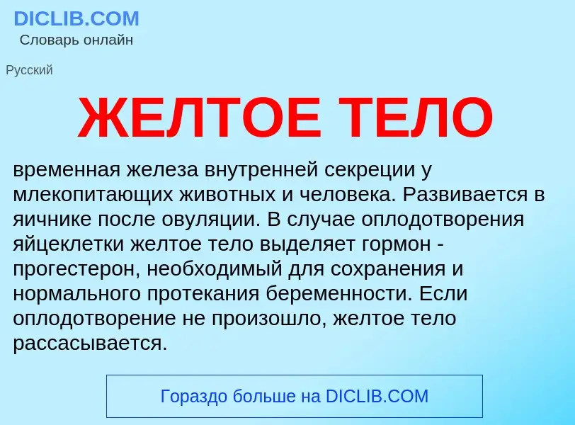 Wat is ЖЕЛТОЕ ТЕЛО - definition