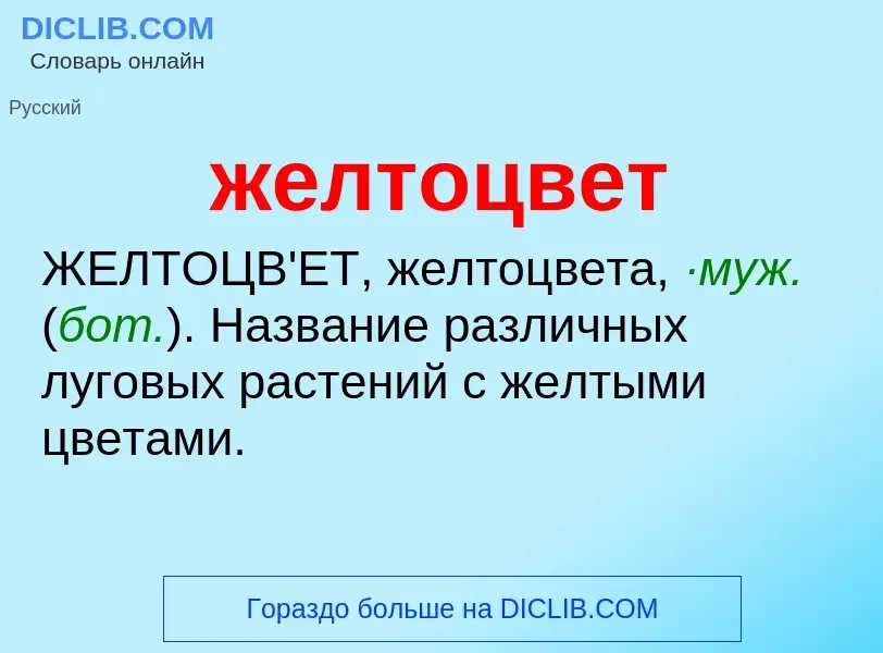 O que é желтоцвет - definição, significado, conceito