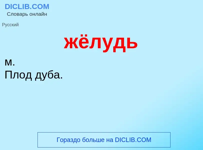 What is жёлудь - meaning and definition