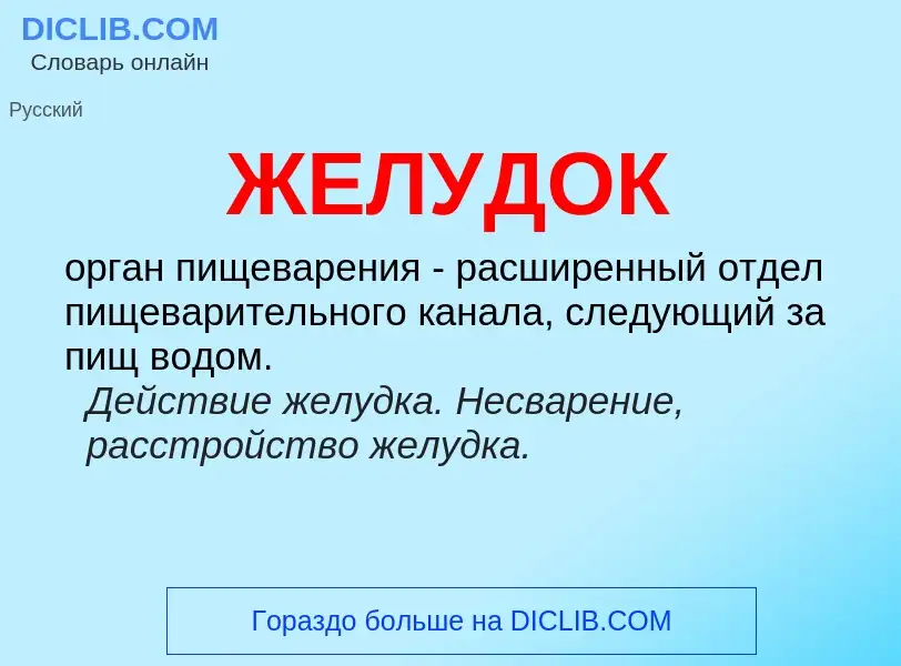 What is ЖЕЛУДОК - meaning and definition