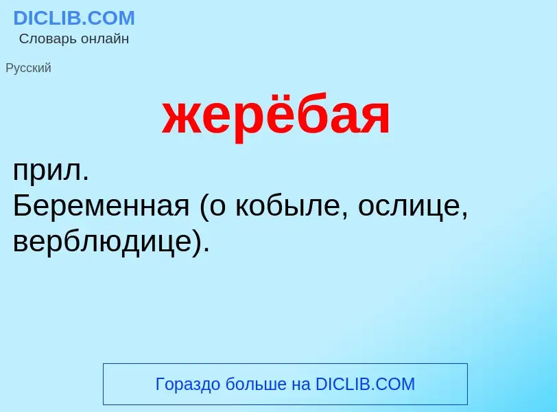 ¿Qué es жерёбая? - significado y definición