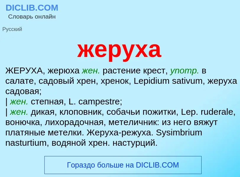 What is жеруха - definition