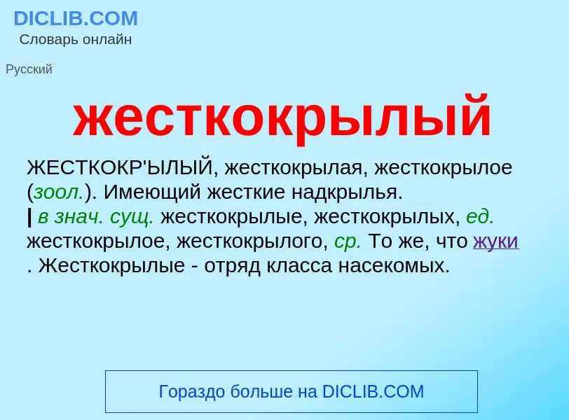 Wat is жесткокрылый - definition