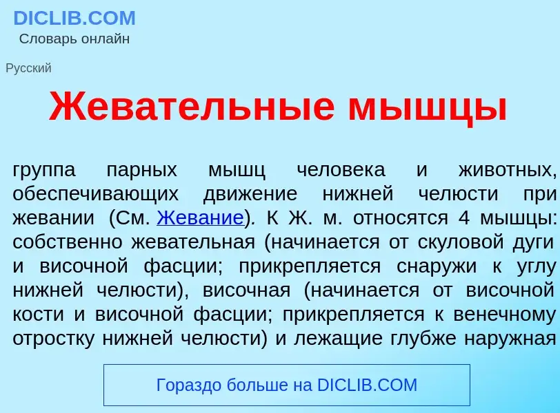 What is Жев<font color="red">а</font>тельные м<font color="red">ы</font>шцы - meaning and definition