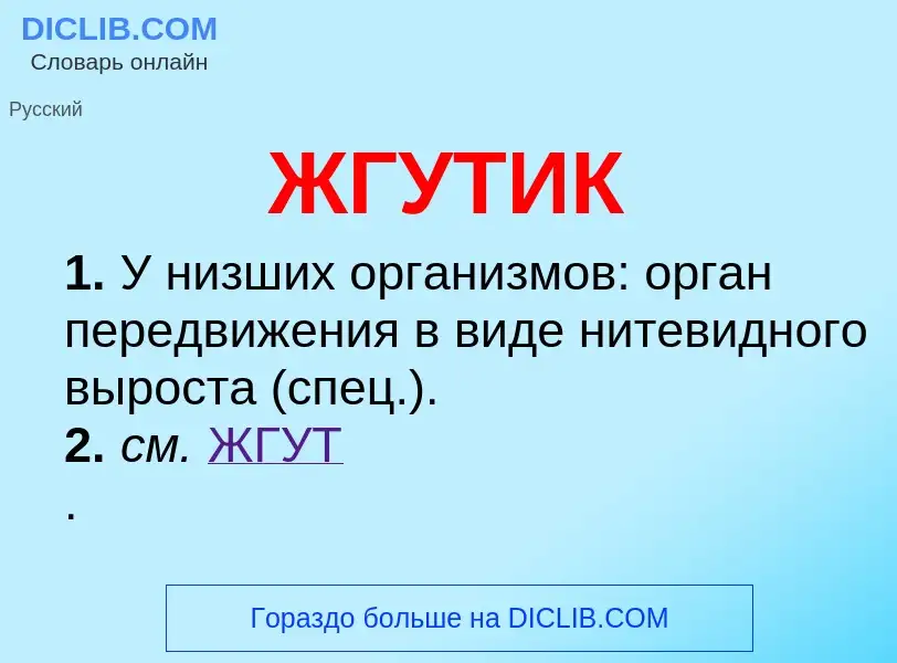 O que é ЖГУТИК - definição, significado, conceito