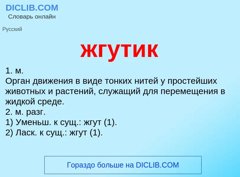 Wat is жгутик - definition