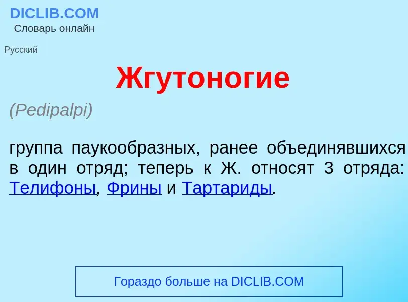 What is Жгутон<font color="red">о</font>гие - definition