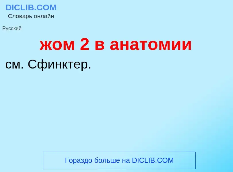 ¿Qué es жом 2 в анатомии? - significado y definición