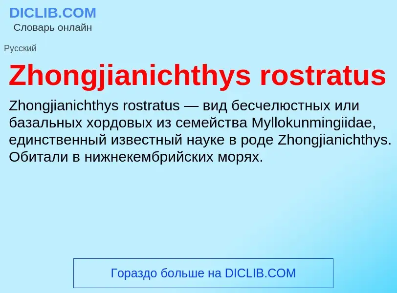 Что такое Zhongjianichthys rostratus - определение