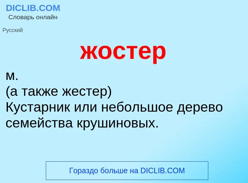 Wat is жостер - definition