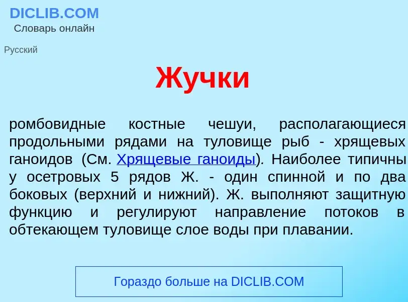 Что такое Ж<font color="red">у</font>чки - определение